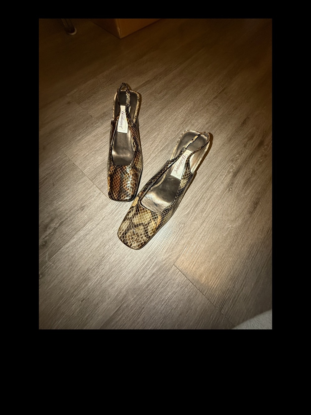Worthington Snake-Print Slingback Pumps in Brown and Black